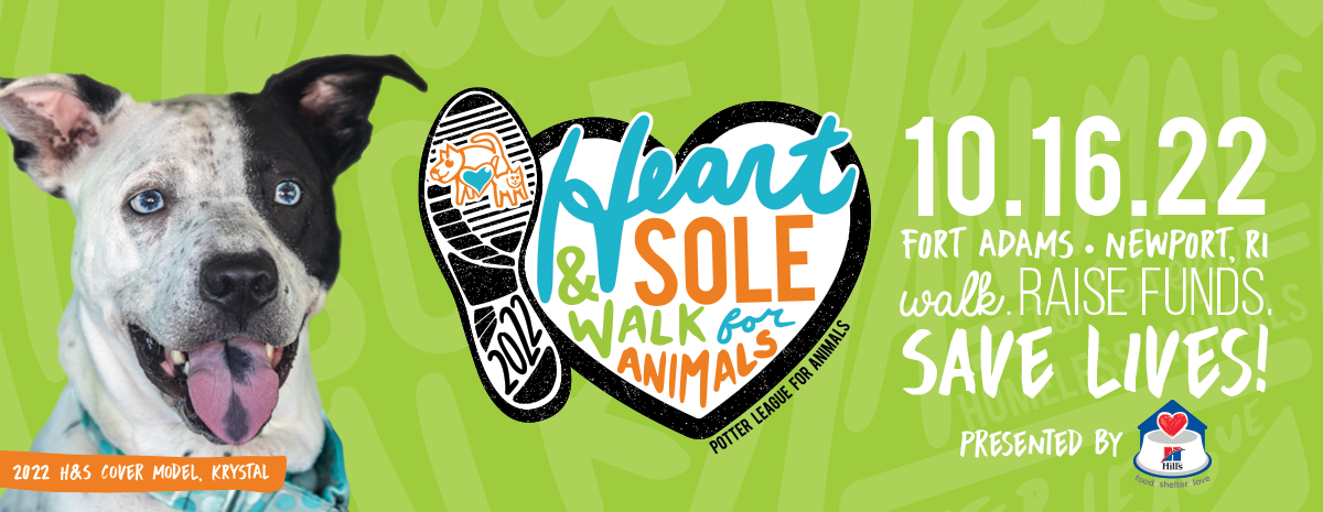 Heart & Sole Walk for Animals 2022